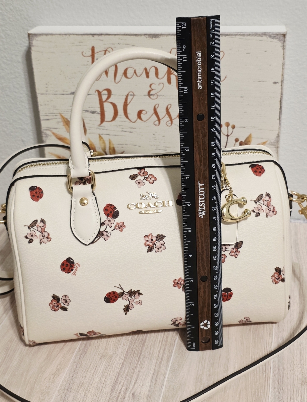 Coach RARE Rowan MEDIUM Crossbody Chalk Ladybug Floral + gold Coach C charm ๐๐ - Picture 14 of 16